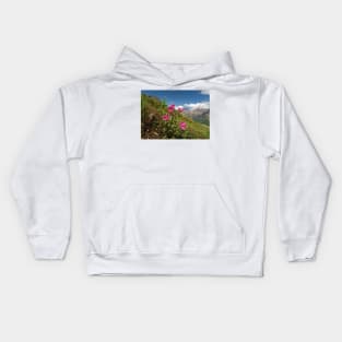 Summer in Glacier NP Kids Hoodie